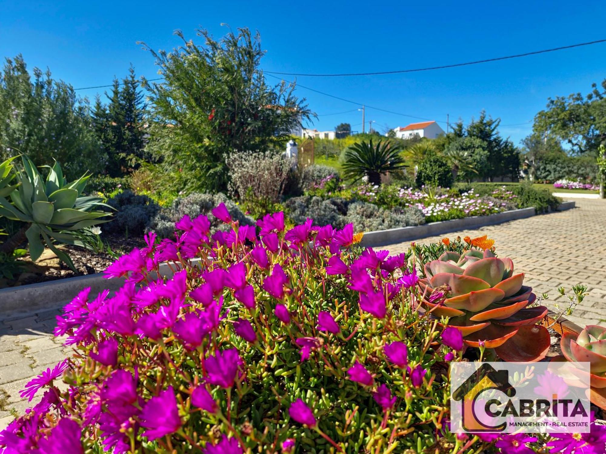 Quinta Dos Medronheiros Villa Altura Exterior photo